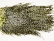 7569 Coq De Leon Dry Fly Hackle, Bronze Grade Saddle Olive