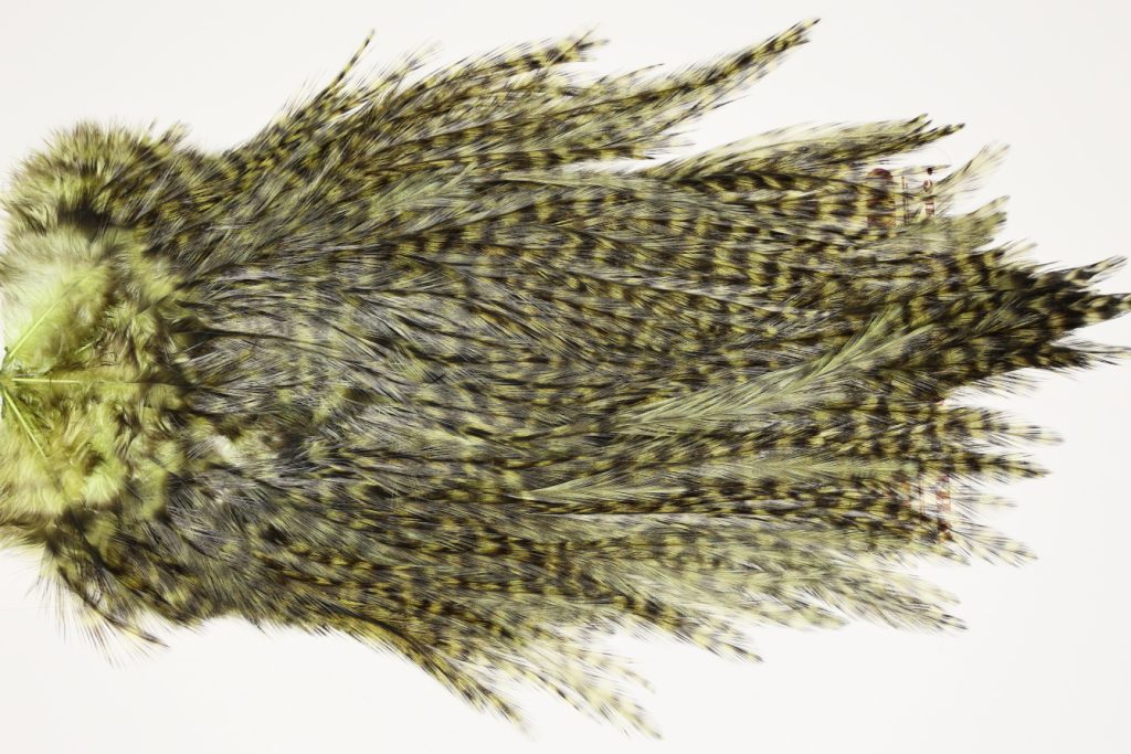 7570 Coq De Leon Dry Fly Hackle, Bronze Grade Saddle Olive