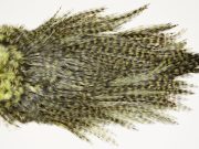 7570 Coq De Leon Dry Fly Hackle, Bronze Grade Saddle Olive
