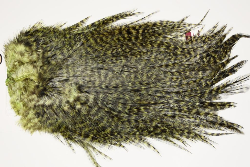 7571 Coq De Leon Dry Fly Hackle, Bronze Grade Saddle Olive