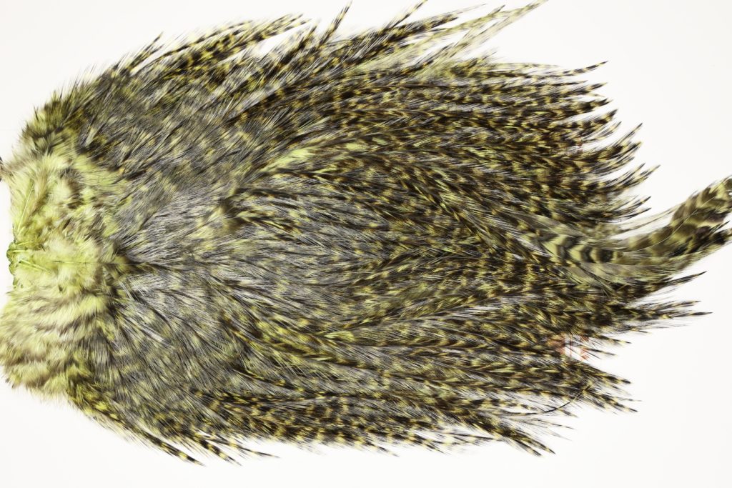 7573 Coq De Leon Dry Fly Hackle, Bronze Grade Saddle Olive