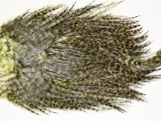 7573 Coq De Leon Dry Fly Hackle, Bronze Grade Saddle Olive