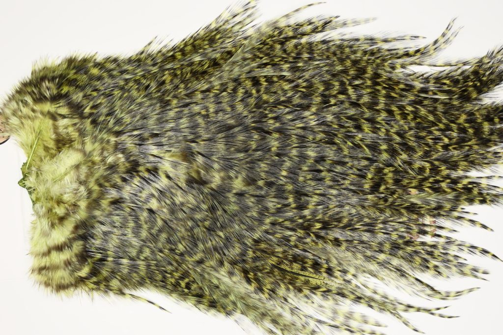 7574 Coq De Leon Dry Fly Hackle, Bronze Grade Saddle Olive