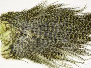 7574 Coq De Leon Dry Fly Hackle, Bronze Grade Saddle Olive