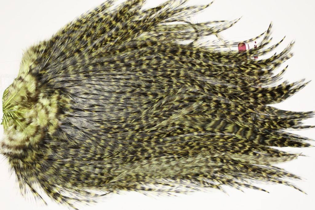 7577 Coq De Leon Dry Fly Hackle, Bronze Grade Saddle Olive