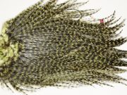 7577 Coq De Leon Dry Fly Hackle, Bronze Grade Saddle Olive