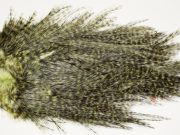 7578 Coq De Leon Dry Fly Hackle, Bronze Grade Saddle Olive