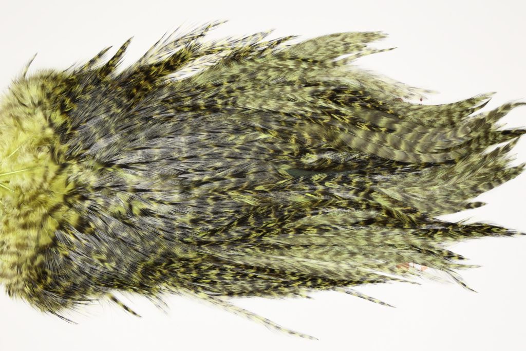 7579 Coq De Leon Dry Fly Hackle, Bronze Grade Saddle Olive