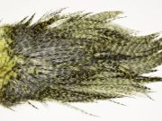 7579 Coq De Leon Dry Fly Hackle, Bronze Grade Saddle Olive