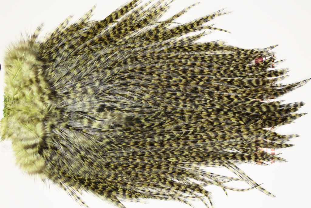 7580 Coq De Leon Dry Fly Hackle, Bronze Grade Saddle Olive