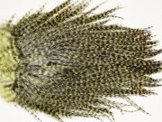 7580 Coq De Leon Dry Fly Hackle, Bronze Grade Saddle Olive