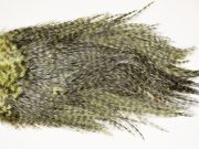 7581 Coq De Leon Dry Fly Hackle, Bronze Grade Saddle Olive