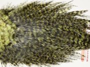 7582 Coq De Leon Dry Fly Hackle, Bronze Grade Saddle Olive