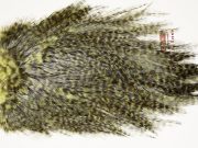 7583 Coq De Leon Dry Fly Hackle, Bronze Grade Saddle Olive