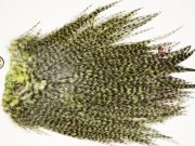 7584 Coq De Leon Dry Fly Hackle, Bronze Grade Saddle Olive