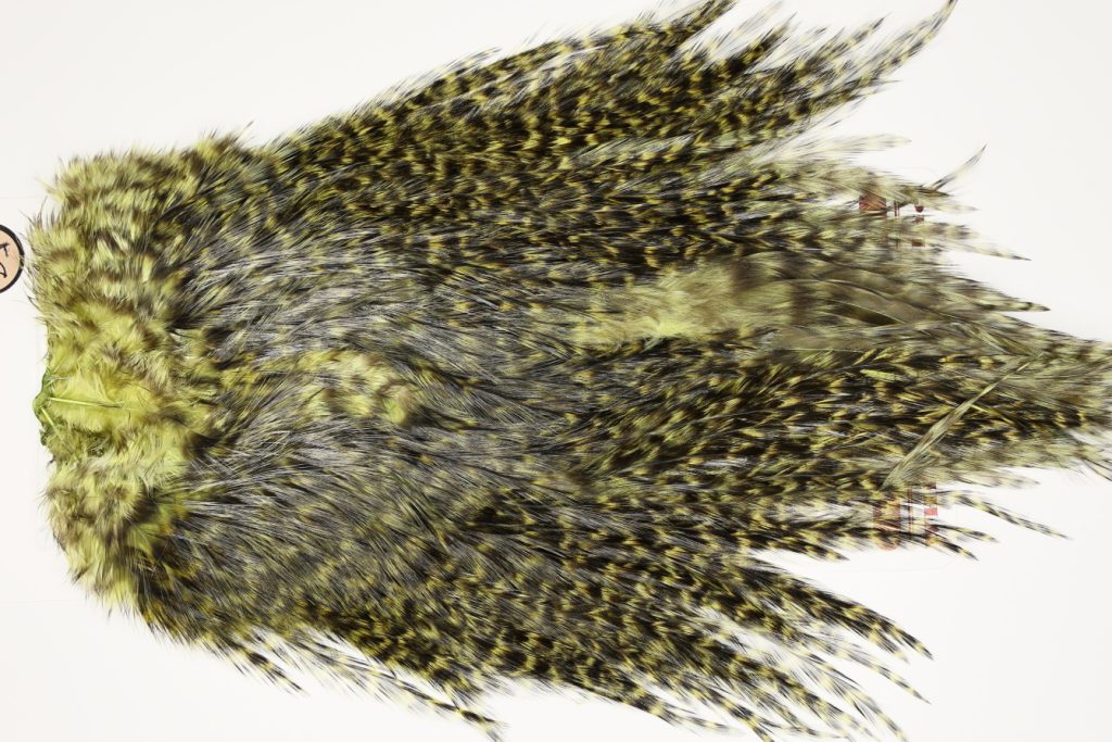 7585 Coq De Leon Dry Fly Hackle, Bronze Grade Saddle Olive