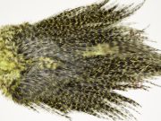 7585 Coq De Leon Dry Fly Hackle, Bronze Grade Saddle Olive