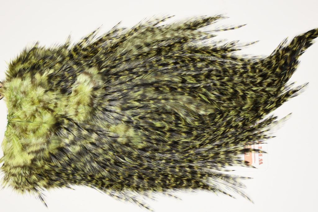 7589 Coq De Leon Dry Fly Hackle, Bronze Grade Saddle Olive