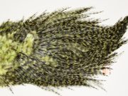 7589 Coq De Leon Dry Fly Hackle, Bronze Grade Saddle Olive