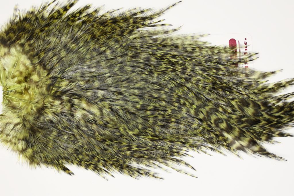 7596 Coq De Leon Dry Fly Hackle, Bronze Grade Saddle Olive