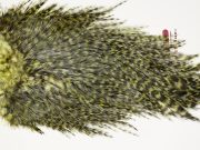 7596 Coq De Leon Dry Fly Hackle, Bronze Grade Saddle Olive