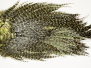 7598 Coq De Leon Dry Fly Hackle, Bronze Grade Saddle Olive