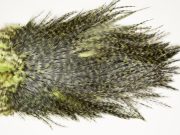 7599 Coq De Leon Dry Fly Hackle, Bronze Grade Saddle Olive