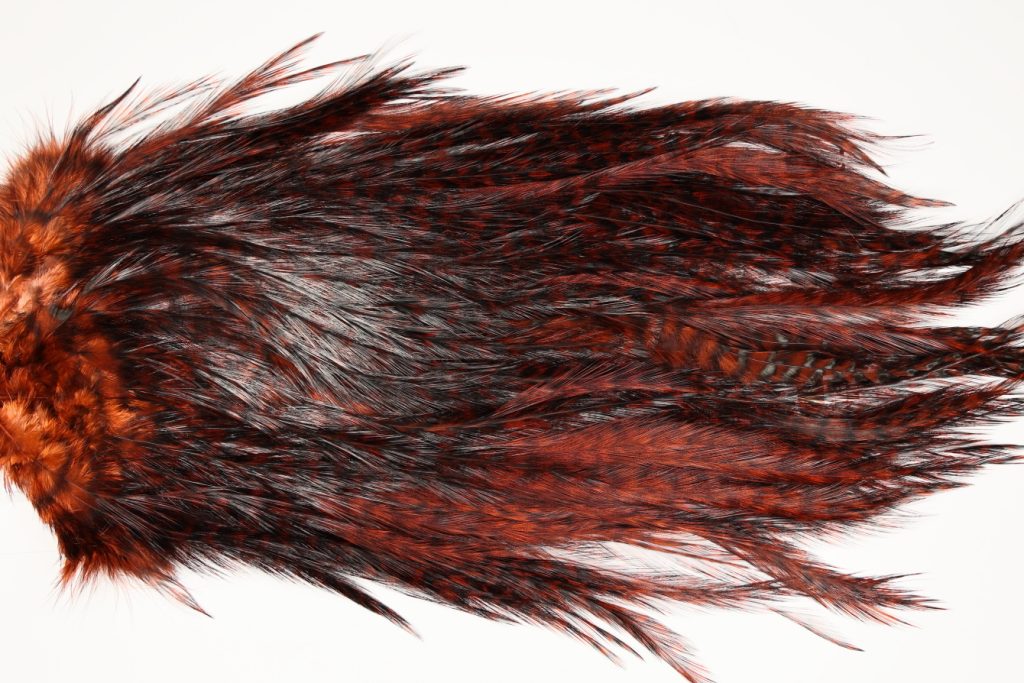 7631 Coq De Leon Dry Fly Hackle, Bronze Grade Saddle Fiery Brown