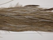 HBGS-8231 Hebert Dry Fly Hackle, Bronze Grade Saddle Medium Brown Dun Ties Sizes 12-14