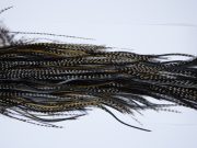 9039 - JimsFlyCo Dry Fly Hackle, Grizzly Variant #2 Grade Rooster Saddle, Ties Sizes 12-14