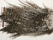 CDLBGS-3714 Coq De Leon Dry Fly Hackle, Grizzly Bronze Gr Saddle