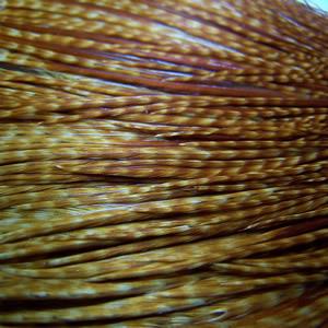 Whiting Dark Barred Ginger Hackle