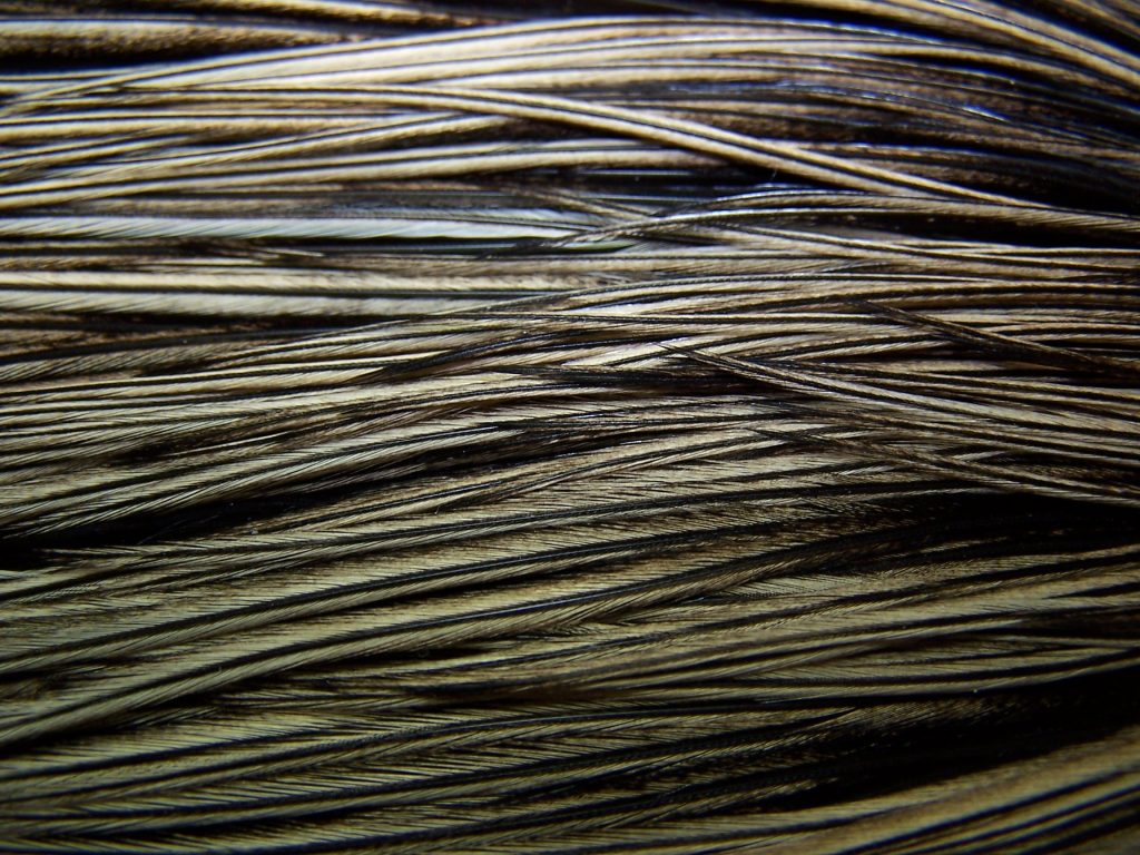 Heritage Speckled Badger Hackle Color