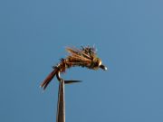 Trina's Anglel Case BWO