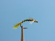 Juan's Sniper Baetis