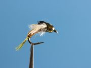 Downey's Master Baetis