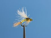 Transitional Dun PMD