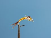 Dunnigan's Muddy Water Emerger