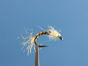 Pennigton's Biot Emerger PMD