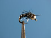 BH Zebra Midge Silver/Black