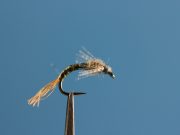 Pennigton's Biot Emerger BWO