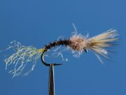 Johnson's Northwind Cripple Brown