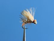 Egg Laying Caddis Tan