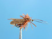 Angelo's Deer Caddis Mottled Brown