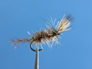 Moore's Compara Buzz  Tan