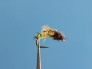 Silverman's Caddis Larva