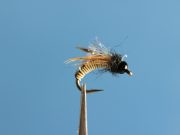 Wired Caddis Tan