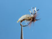 Johnson's Pupae Delectae