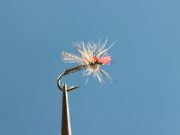 Ritt's ARF Midge Adult Grey