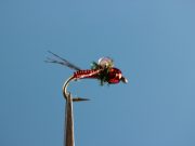 Kegler's Sin City Midge Red